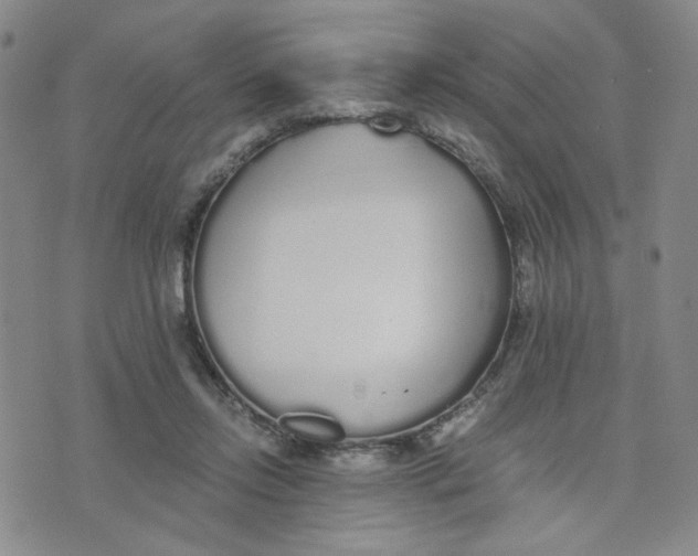 X0000076250358200610191654