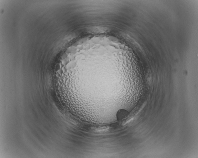 X0000076250359200610191654