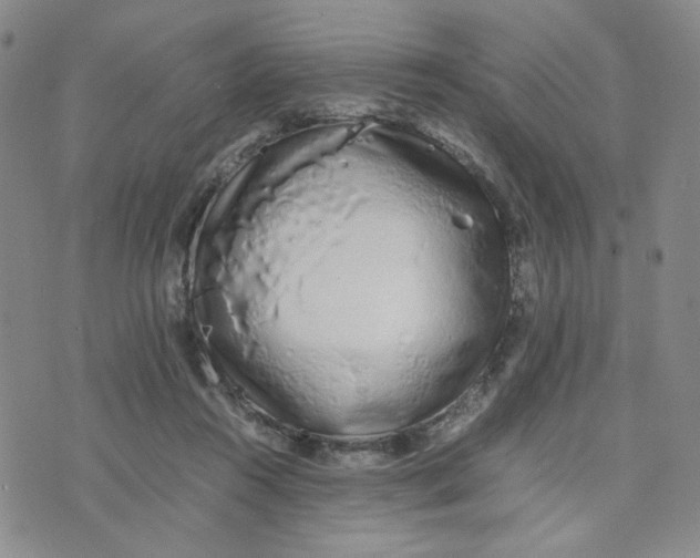 X0000076250360200610191654