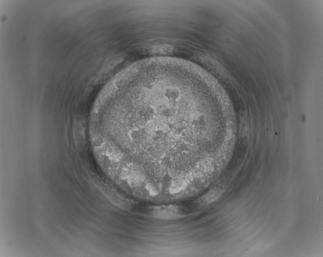 X0000076250363200610191654