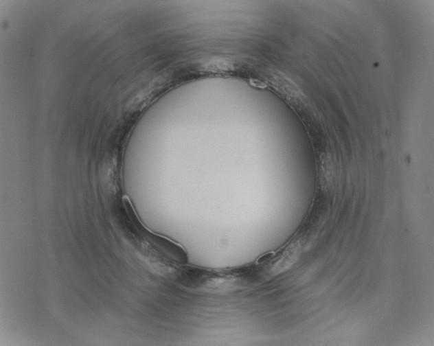 X0000076250364200610191654