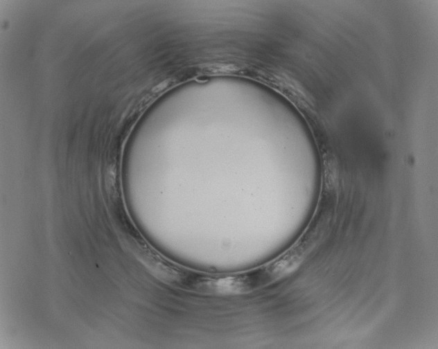 X0000076250365200610191655