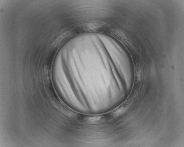 X0000076250366200610191655