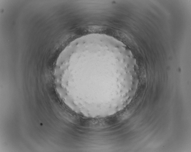 X0000076250367200610191655