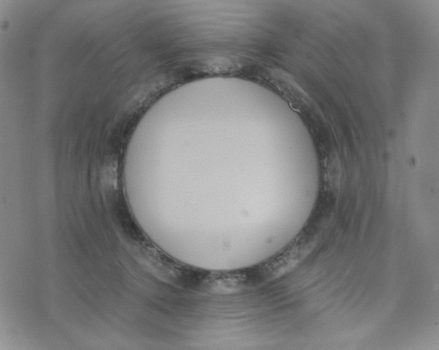 X0000076250368200610191655