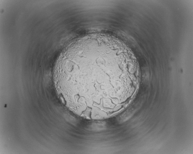 X0000076250369200610191655