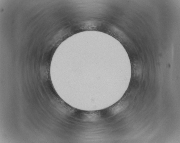 X0000076250370200610191655