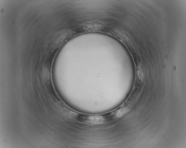 X0000076250371200610191655