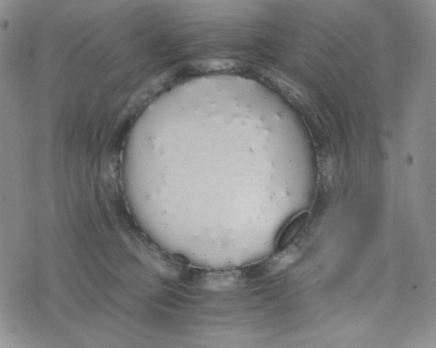 X0000076250373200610191655