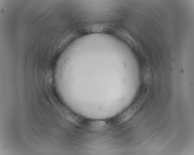 X0000076250374200610191655