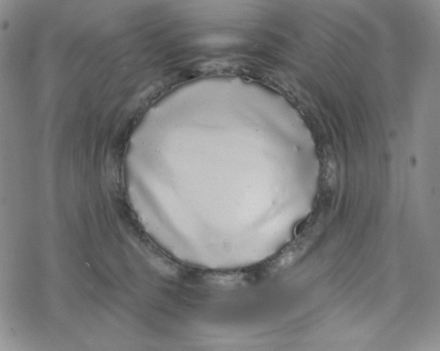 X0000076250375200610191655