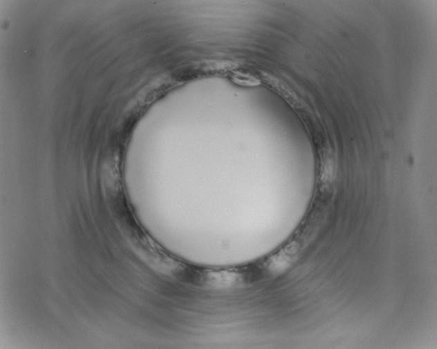 X0000076250376200610191655