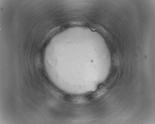 X0000076250377200610191655