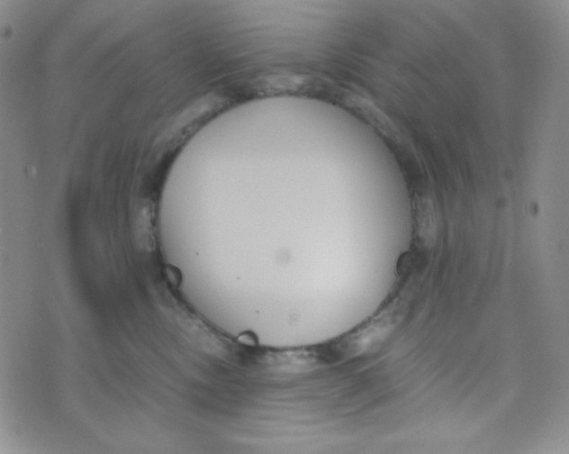 X0000076250378200610191655