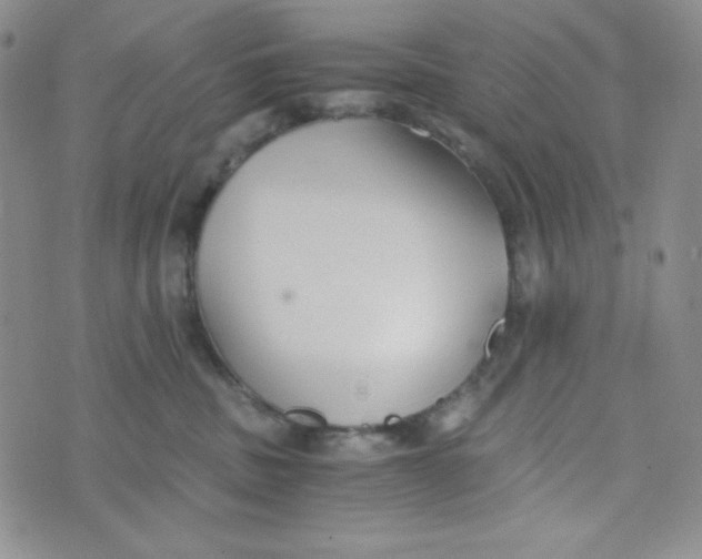 X0000076250379200610191655