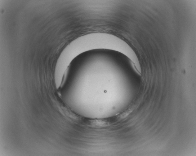 X0000076250380200610191655