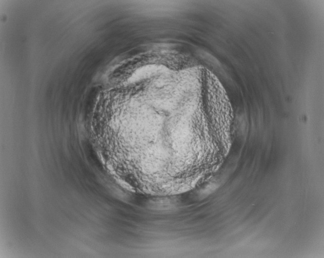 X0000076250381200610191655