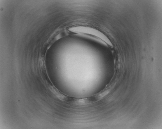 X0000076250382200610191655