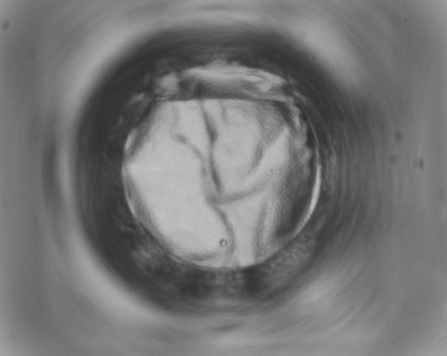 X0000076250383200610191655