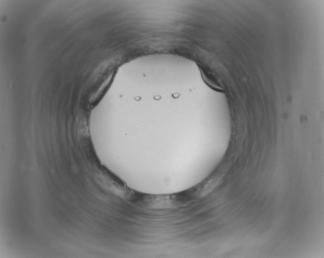 X0000076250384200610191655