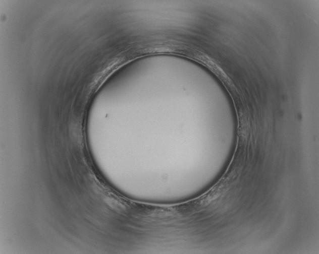 X0000076250386200610191654