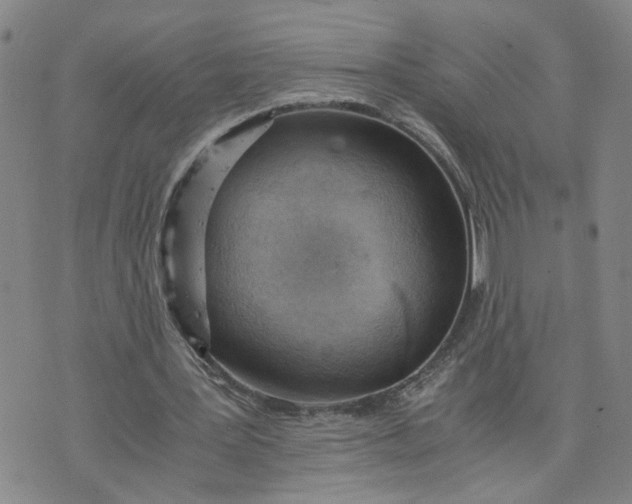 X0000076250387200610191654