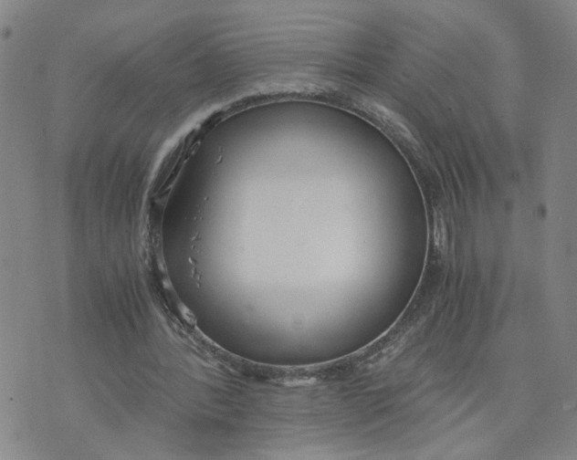 X0000076250388200610191654