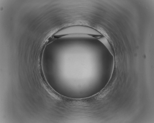 X0000076250389200610191654