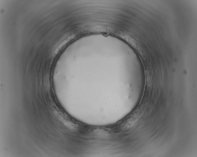 X0000076250390200610191654