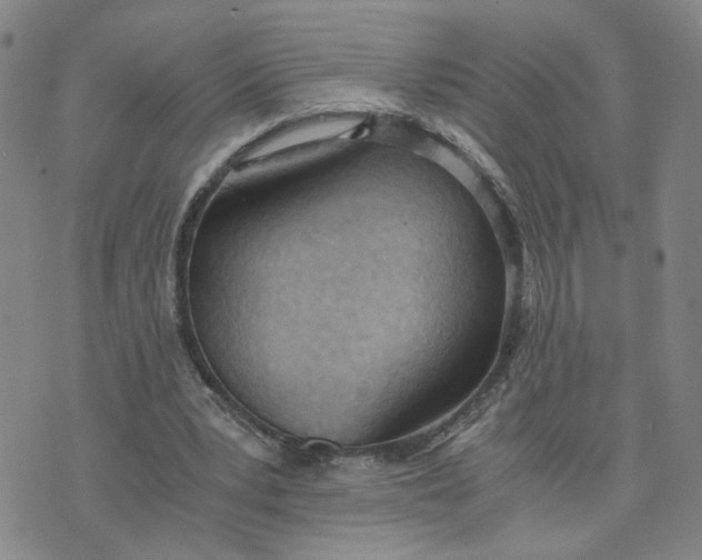 X0000076250391200610191654