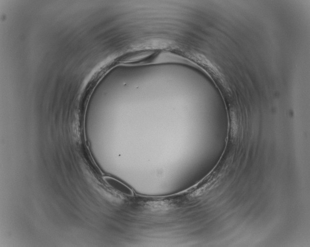 X0000076250392200610191654