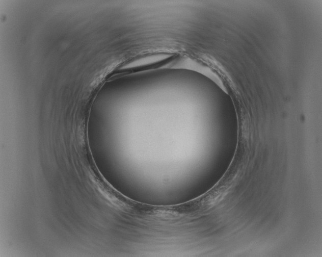 X0000076250393200610191654