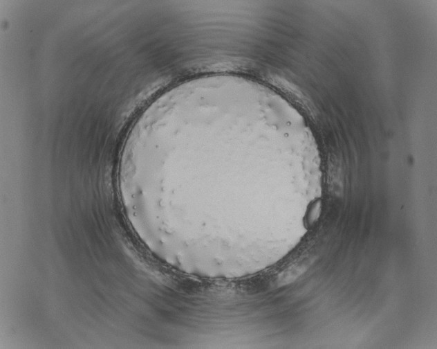 X0000076250394200610191654