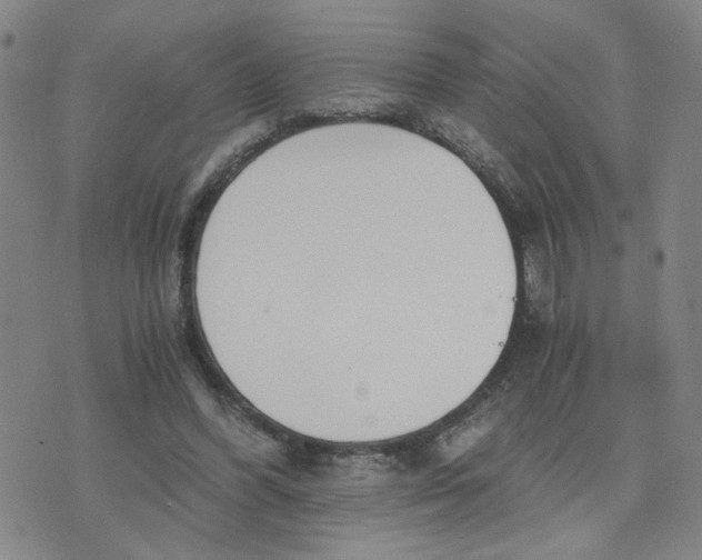 X0000076250396200610191654