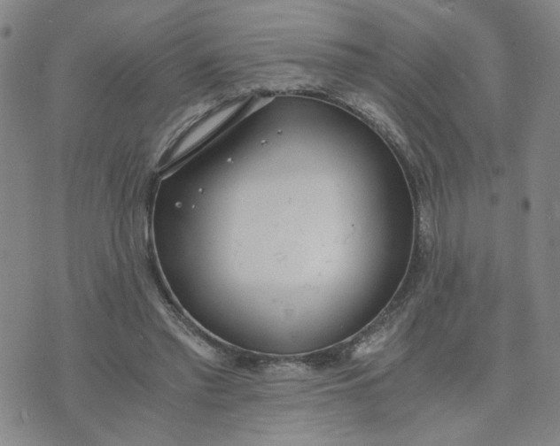 X0000076250397200610191654