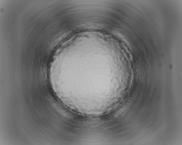 X0000076250398200610191654