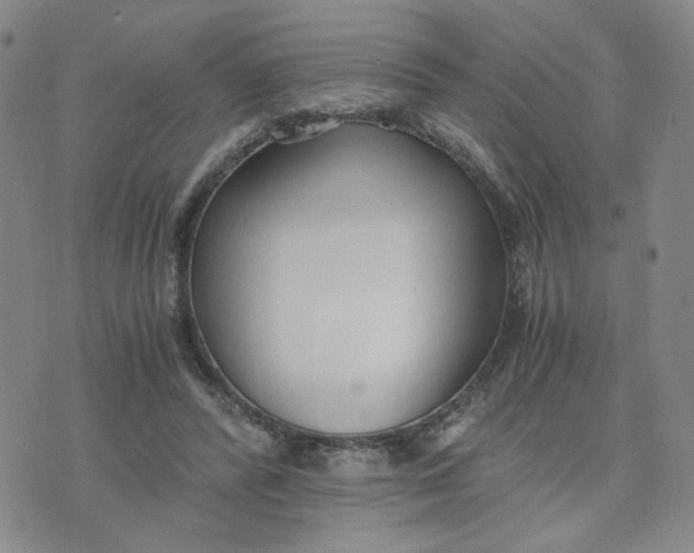 X0000076250400200610191654