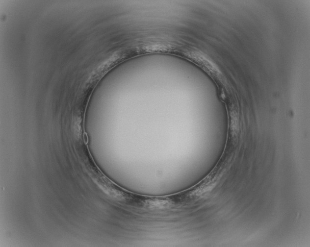 X0000076250401200610191654