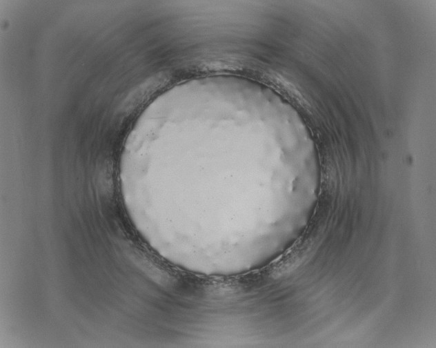 X0000076250402200610191654