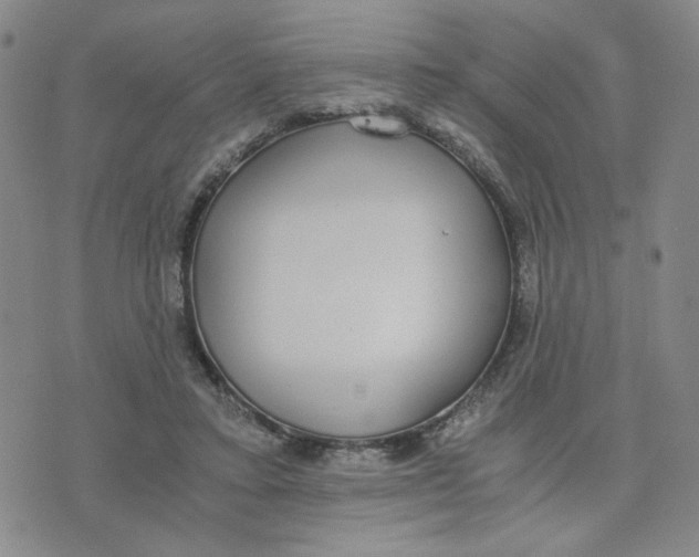 X0000076250403200610191654