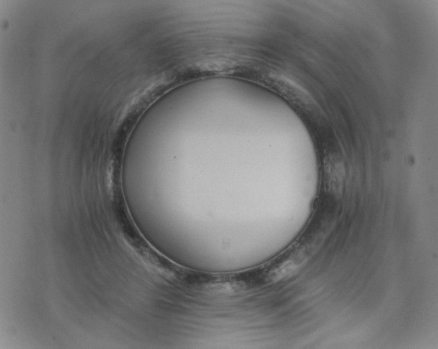 X0000076250404200610191654