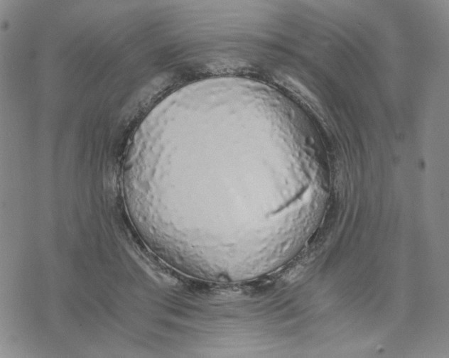 X0000076250405200610191654