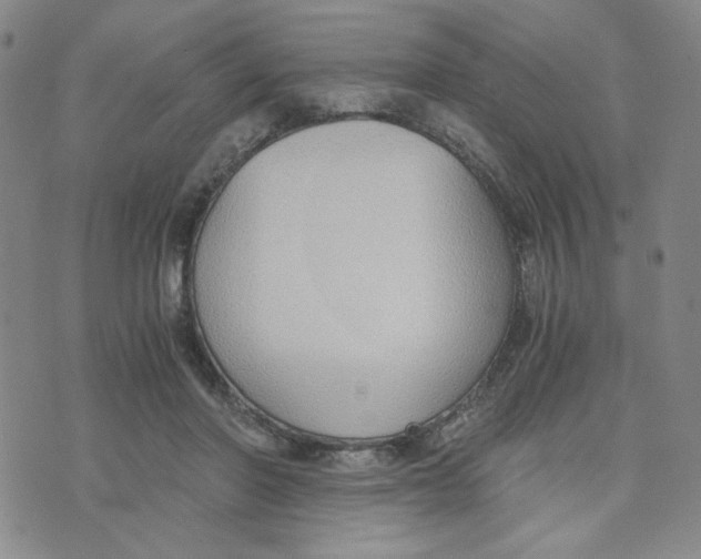 X0000076250406200610191654