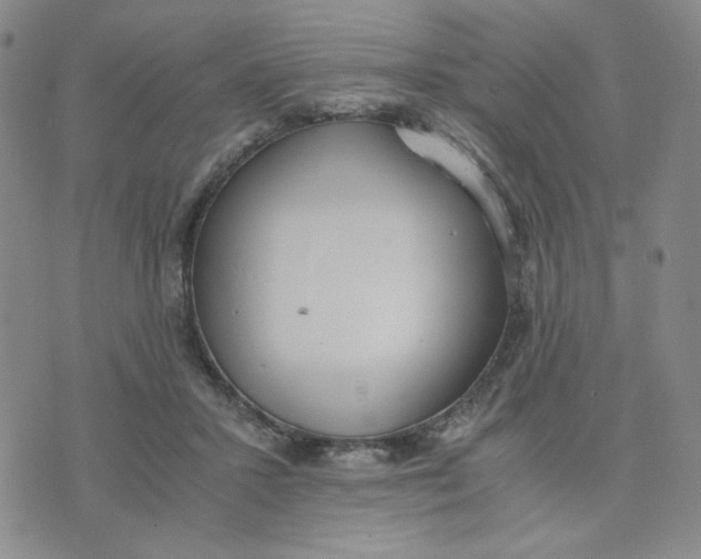 X0000076250407200610191654