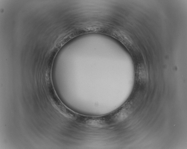 X0000076250408200610191654