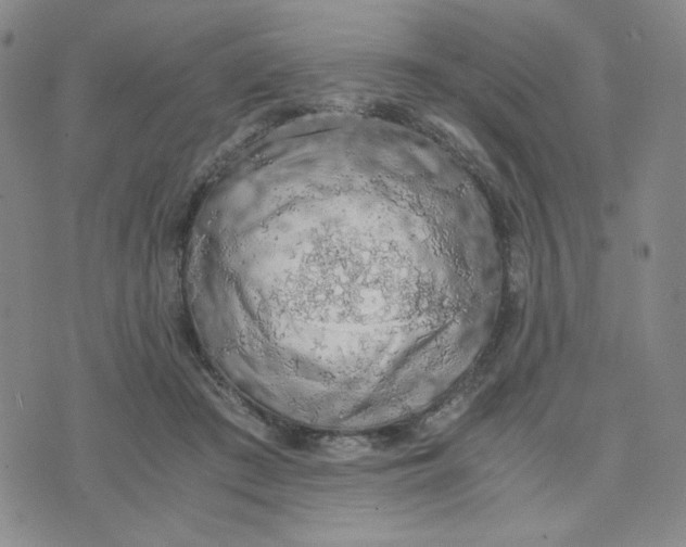 X0000076250409200610191654