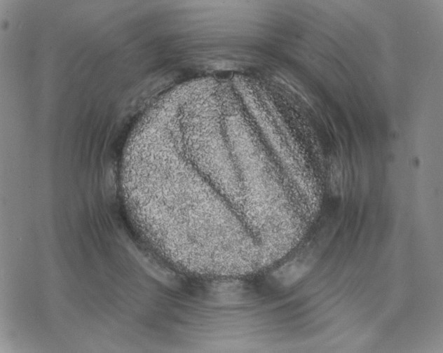 X0000076250410200610191654