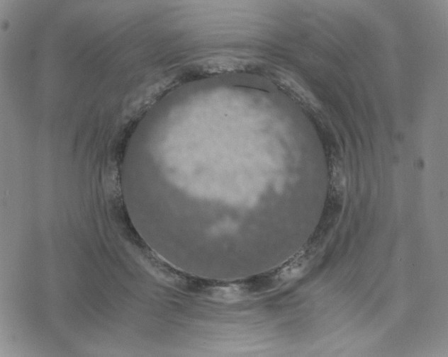 X0000076250411200610191654