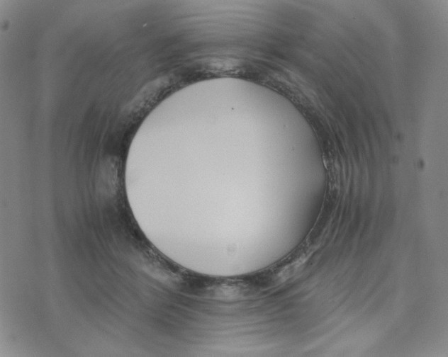 X0000076250412200610191654