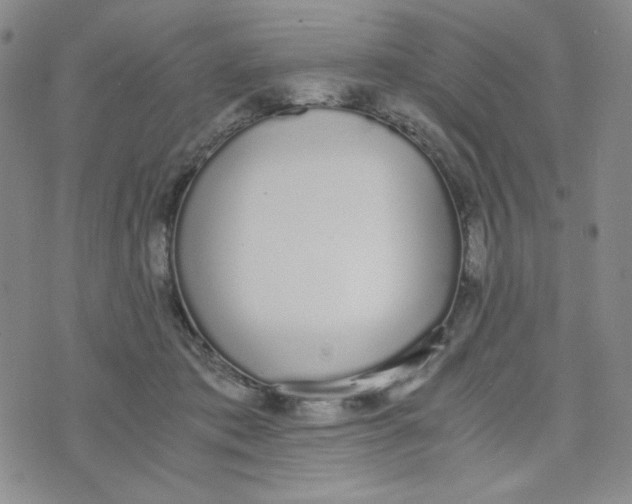 X0000076250413200610191654